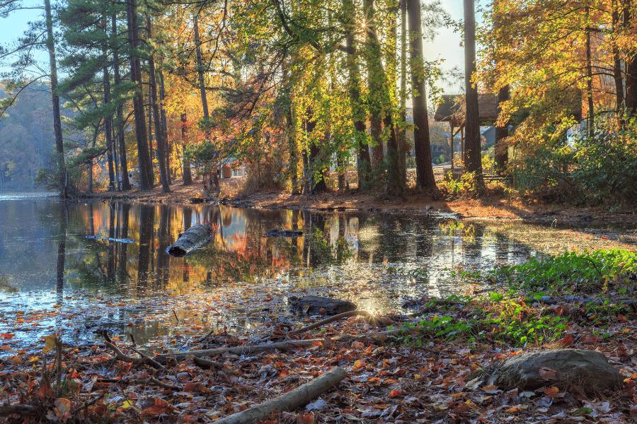 Lake Johnson in Raleigh during the day with light coming in through the trees