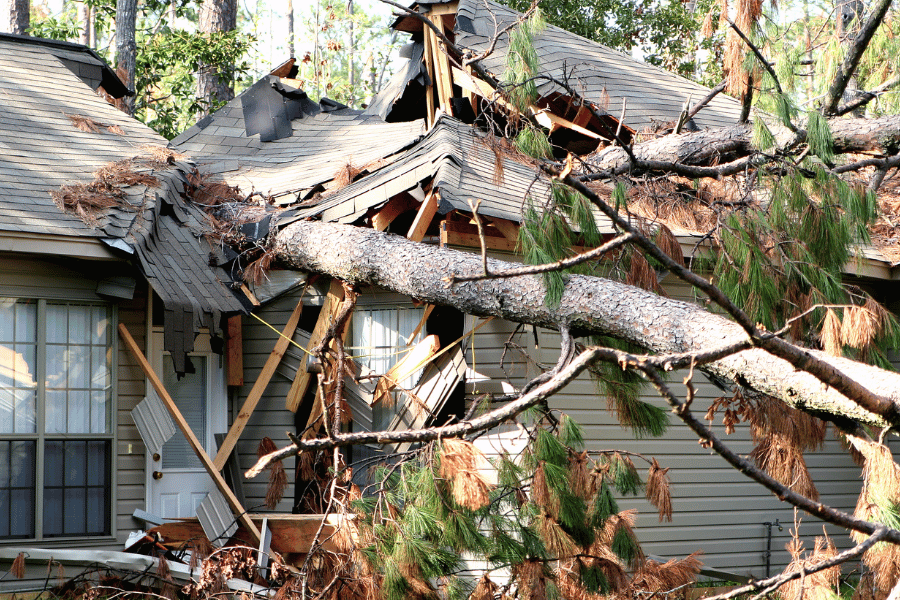Hurricane damage on house with tree on the roof
