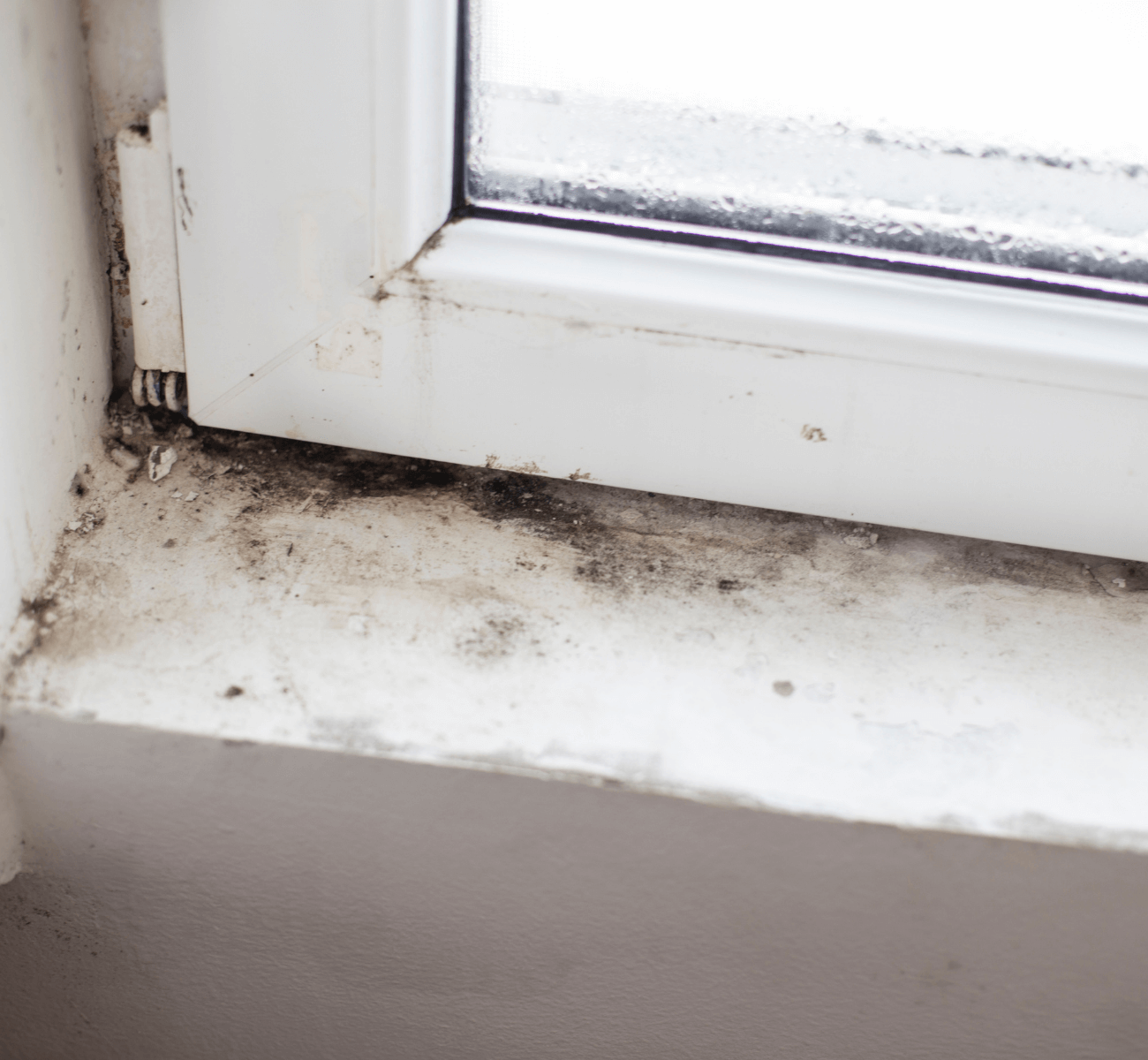 Mold In Corner Of Window